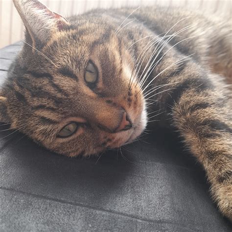 Im so proud of myself! - Memories of Fpe pool | Talkie AI