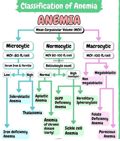 Classification of Anemia - MEDizzy