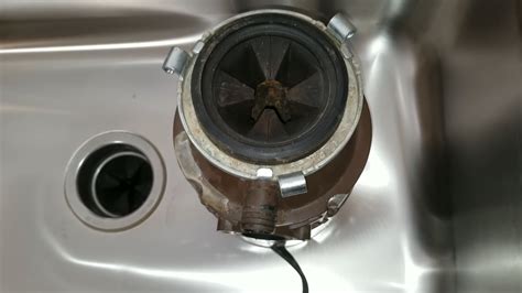 Garbage Disposal Not Turning In at Aaron Levine blog