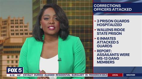 Virginia corrections officers stabbed by MS-13 gang members at prison ...