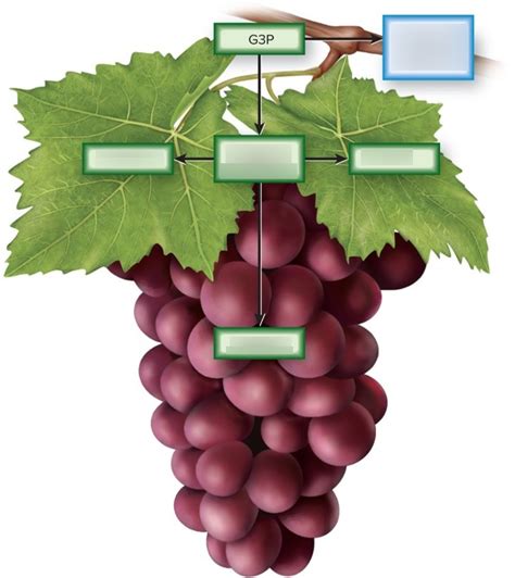 Image result for G3P Image Converter