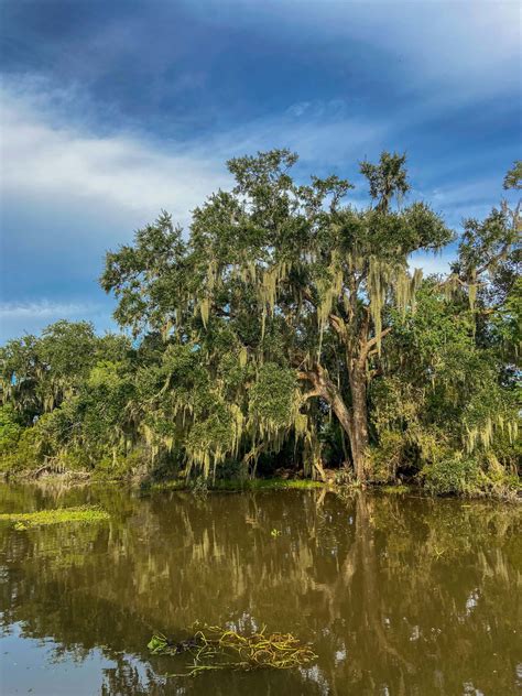 The Perfect 3 Days in New Orleans - Letters From Holly