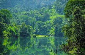 Gavi Safari Booking, Jeep Safari in Gavi