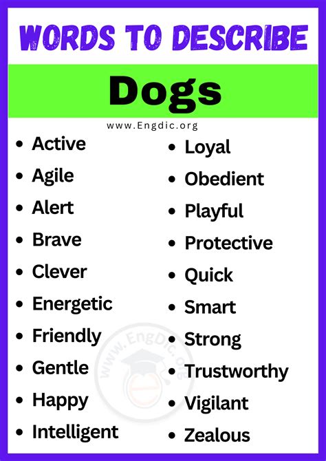 20+ Best Words to Describe Dogs, Adjectives for Dogs - EngDic