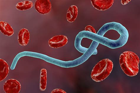 Scientists discover potential new drug for Ebola virus - India Today
