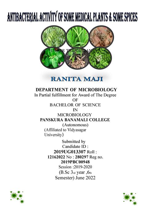 Antibacterial activity of Medicinal Plants & Spices-2 - UNDER THE ...