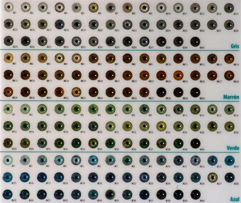 Seriously, is there another possible eye color? | Eye color chart, Eye ...