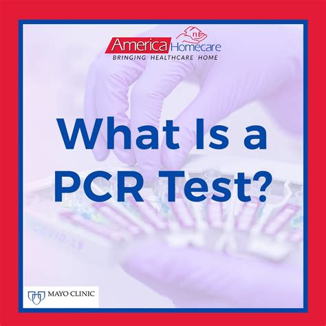 What Is PCR Test 的图像结果