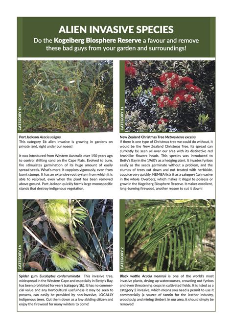 Alien Invasive Insects 的图像结果