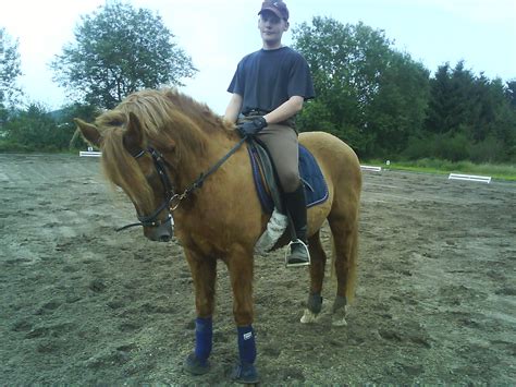 Prestige 17 32 in Hagen | Tiere | Kleinanzeigen