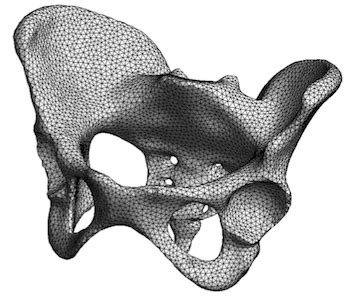 Image result for Gmsh Python Remesh Fixed Volume