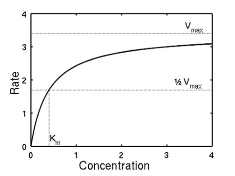 Linear Model Nonlinear Model Curve Fitting 的图像结果