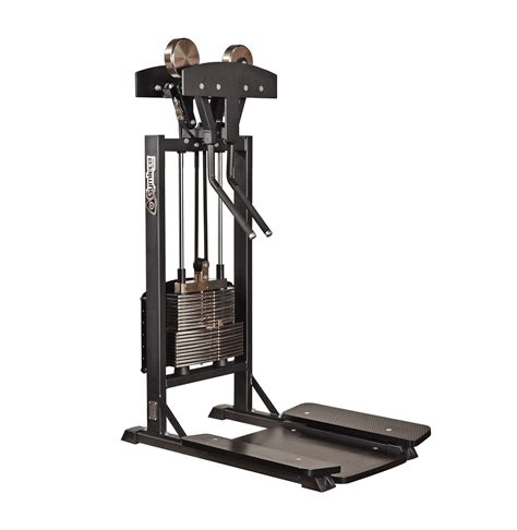 Side Lift with Machine 的图像结果