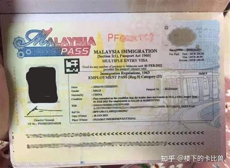 最新马来西亚旅游签证攻略～免签、电子签、普通贴纸签、过境签 - 知乎