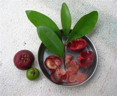 From Bengal to Gujarat, this is what Indians eat and drink to beat the ...