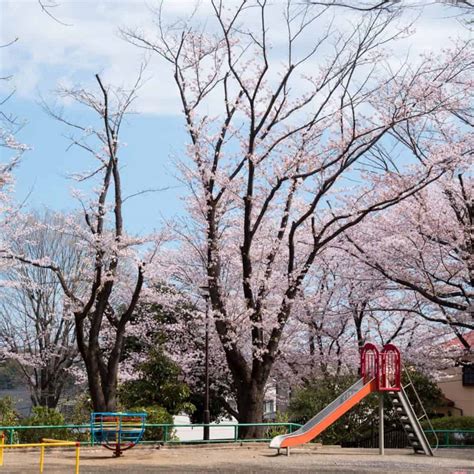 Image result for Interactive Word Puzzles