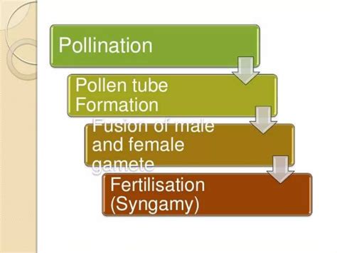 Image result for Reproduction Class 10 Videos