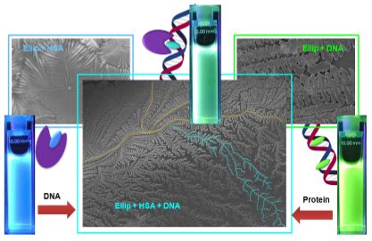 Home [sites.iiserpune.ac.in]