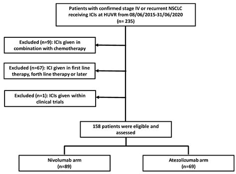 Real-World Analysis of Nivolumab and Atezolizumab Efficacy in ...