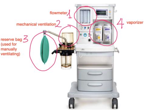 Anesthesia Maintenance 的图像结果