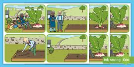 Very Hungry Caterpillar Story Sequencing Cards - Twinkl