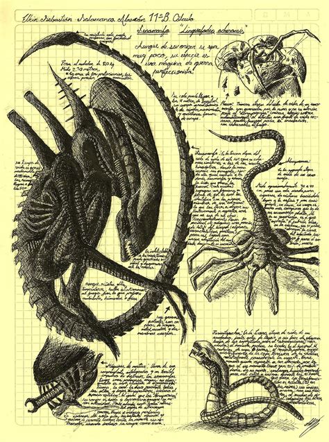 Image result for Alien Xenomorph Life Cycle