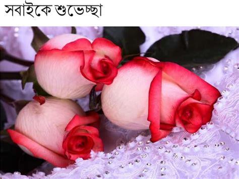 Image result for Class 8 Science Lesson 1