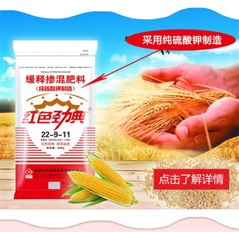 宁春62号小麦种子介绍，属早熟品种 - 新三农