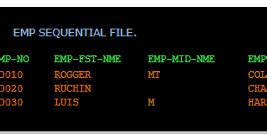 Mainframe Sequential Dataset 的图像结果