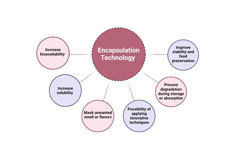 Image result for Encapsulation