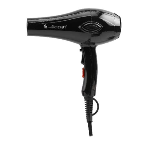 Buy Hector Professional 2000W Pro Touch Hair Dryer – Beauty Planet
