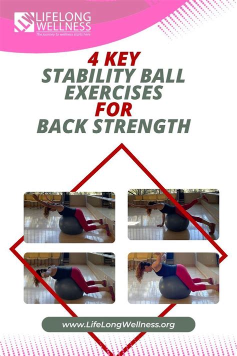 Image result for Stability Ball Back Exercises