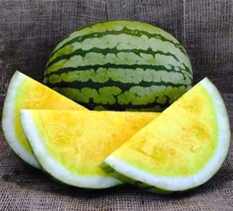 Seedless Watermelon