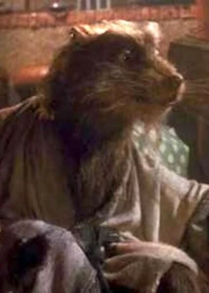 Image result for The Splinter Splinter Cast