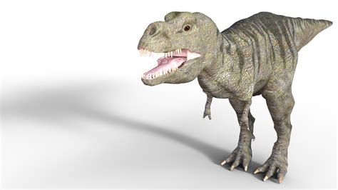 Image result for Python T-Rex
