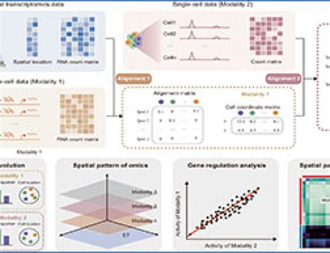 Single-cell RNA-seq 的图像结果