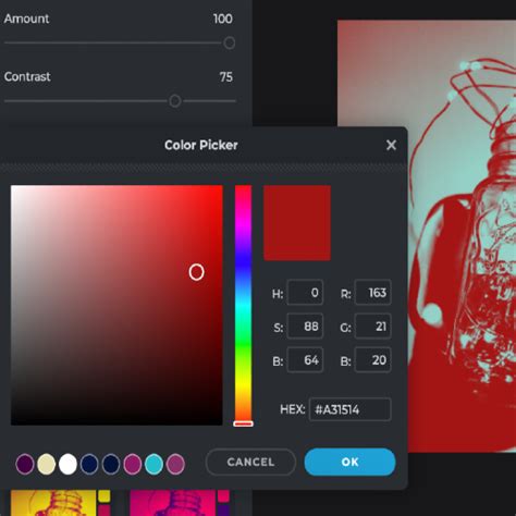 Colorize Birdflop 的图像结果