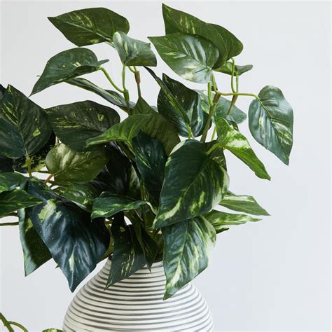 Buy Gardenia Pothos Artificial Plant in Ceramic Pot from Home Centre at ...