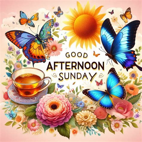 123+ Good Afternoon Sunday Images, Pictures, Photos & Pics