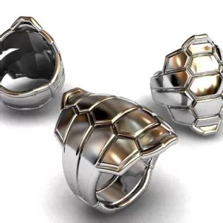 Image result for Turtle Shell Ring