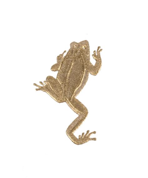 Image result for Jumping Frog Project