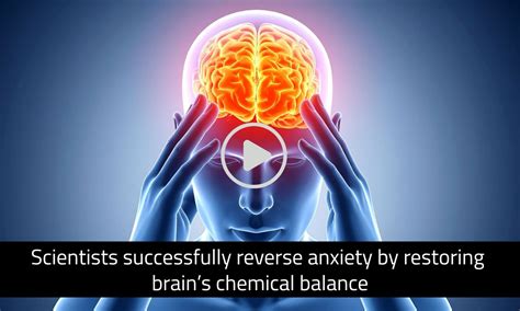 Scientists successfully reverse anxiety by restoring the brain's ...