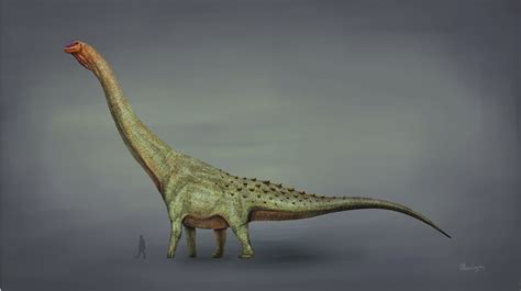 Biggest Dinosaur in the World Ever, Know the Names of Top-10