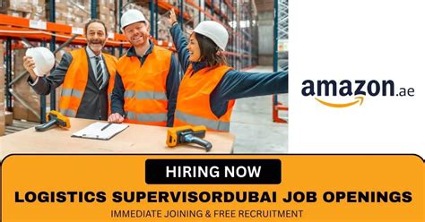 Rezultat imagine pentru Application Developer Position Description