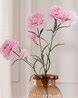 Buy Pure Home And Living Set of 2 Carnation Flower Stems | Peach Color ...