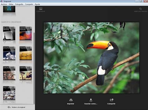 Image result for Snapseed for Computer