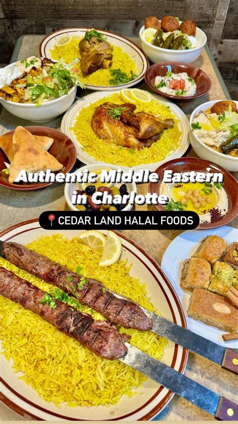 Robin Tan | Charlotte Foodie | I falafel without yummy food 🧆 📍Cedar ...