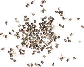 Oats Crumble With Berries Recipe By Chef Megha – By Nature Everyday ...