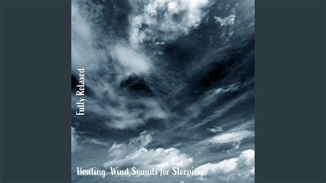 Howling Wind Sounds ASMR 的图像结果