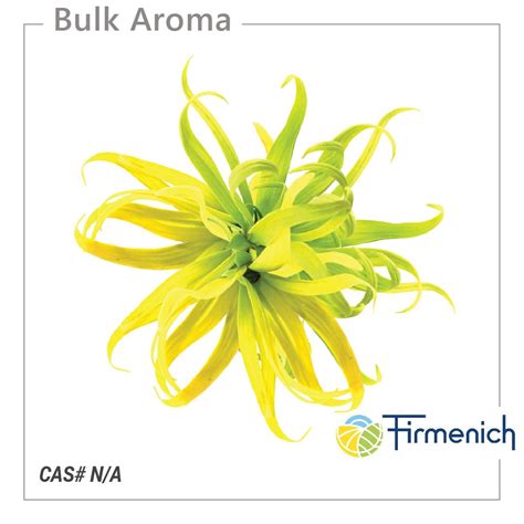 Ylang INDI from dsm-firmenich-Fragrances – Bulkaroma